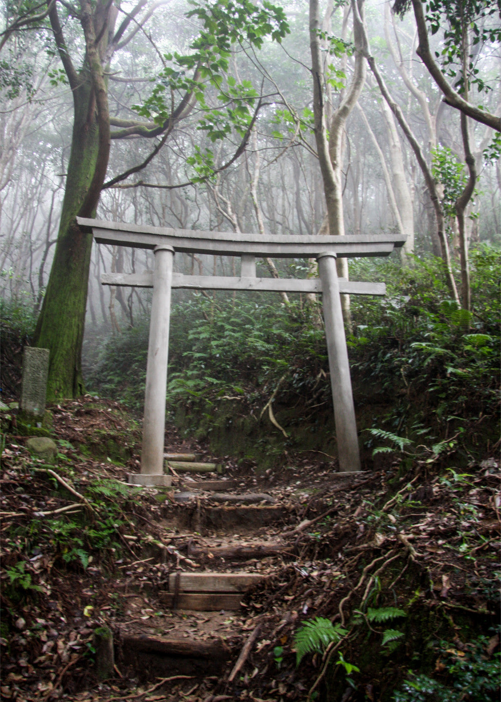 Hakudo Rain Botanical Room Perfume