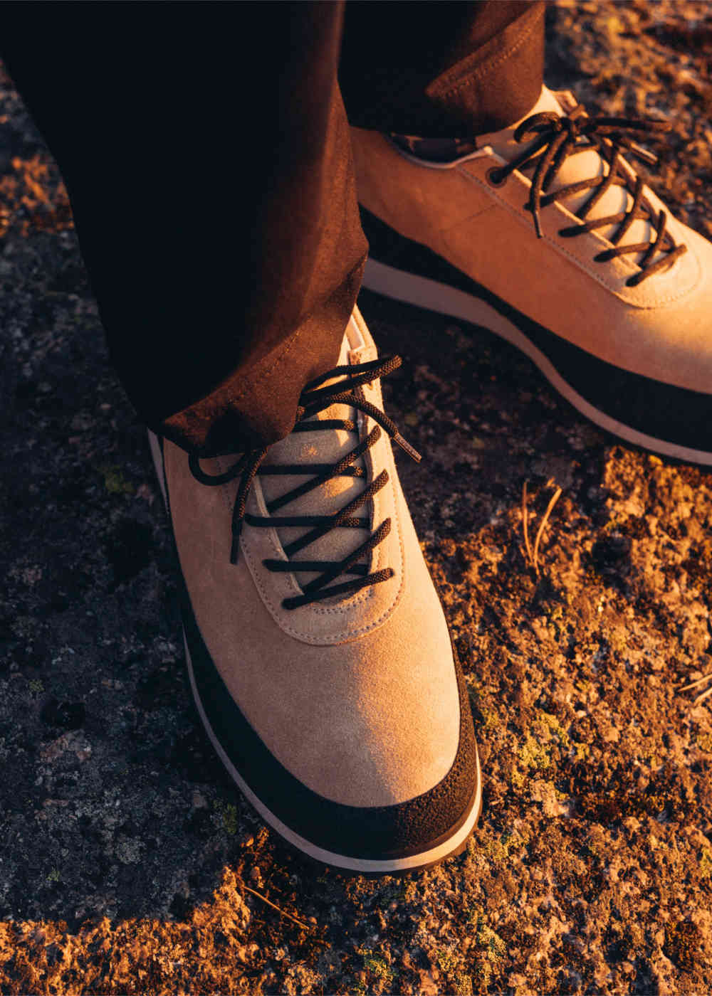 Tarvas Explorer Suede Cappuccino